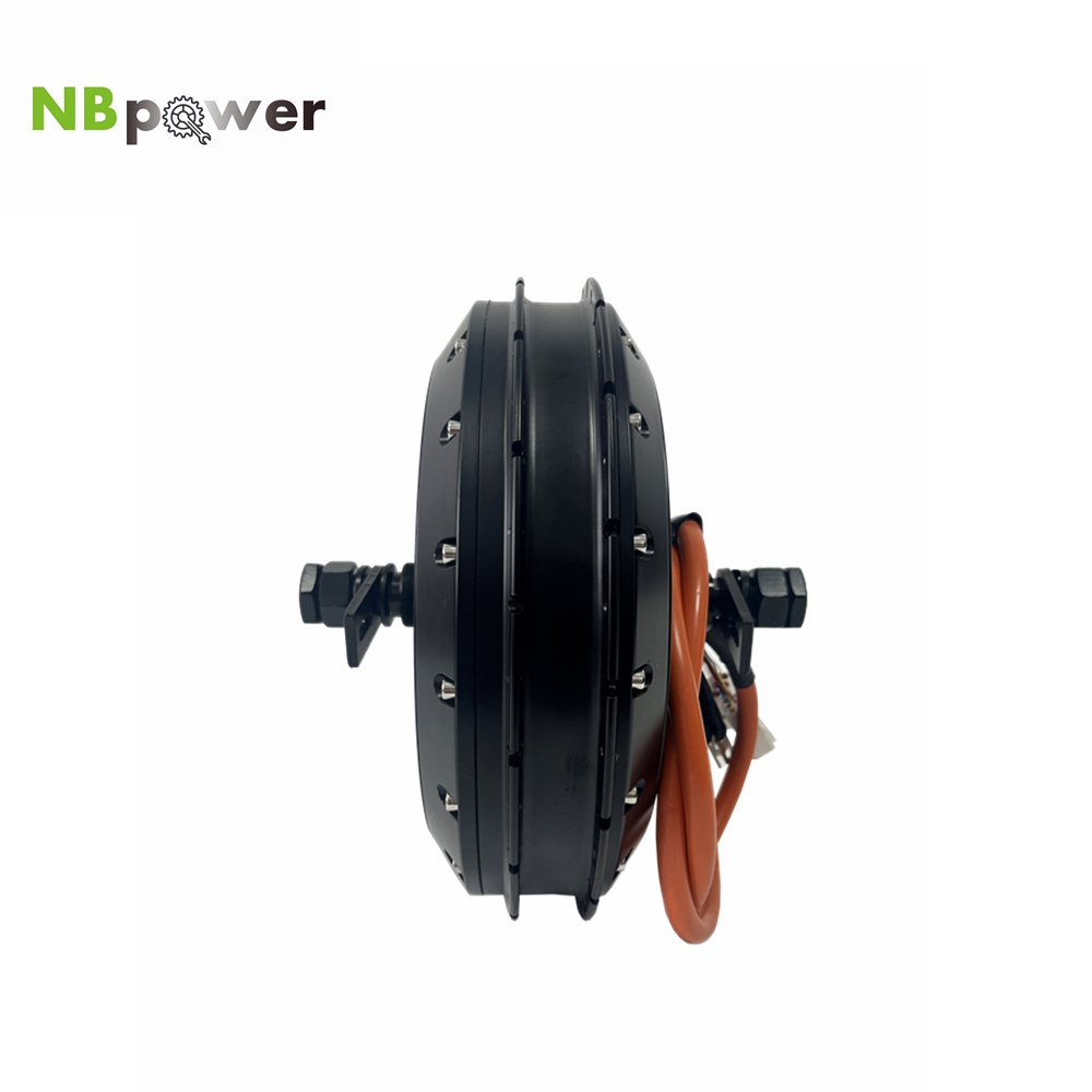 NBpower 18x22mm Axle  40H QS 2 - đánh giá và giá Qs Motor 273 8000W Hub Motor